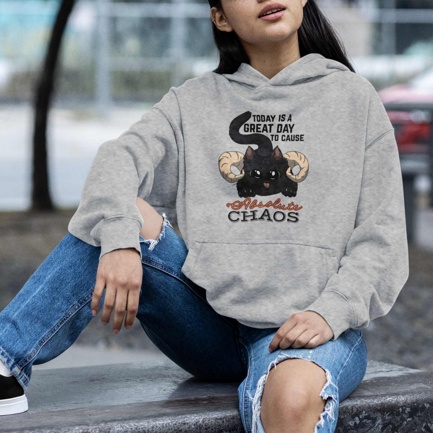Chaos Cat Pullover Hoodie