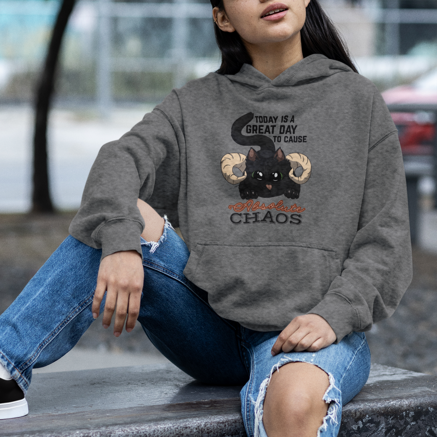 Chaos Cat Pullover Hoodie