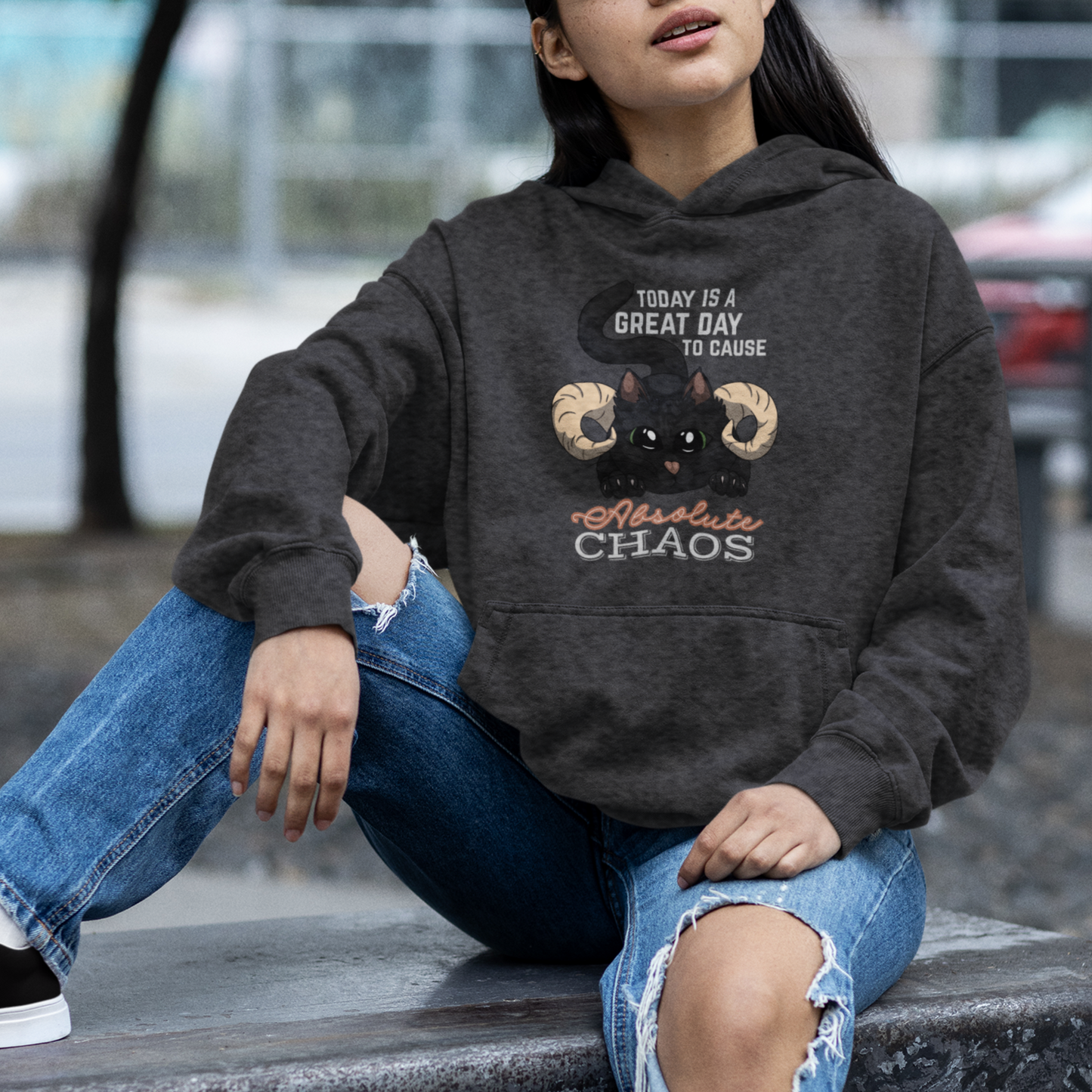 Chaos Cat Pullover Hoodie