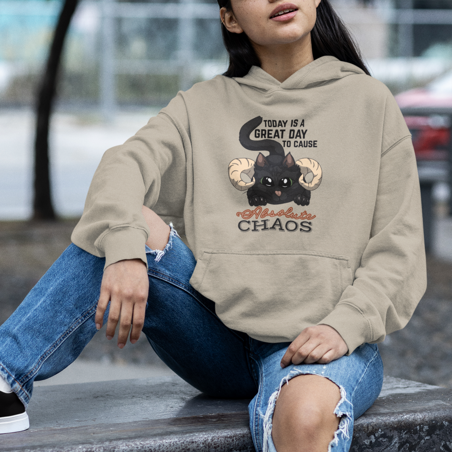 Chaos Cat Pullover Hoodie